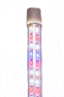 Aquarium Beleuchtung Led Expert Color 10W 40cm 595lm