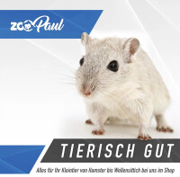 ZooPaul Hamster-Hasen-Käfig mit Holz Podest und Leiter schwarz