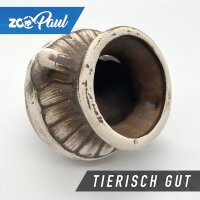 Sprudelset Deko Aquarium Römische Vase 15x8x10cm (L/B/H)