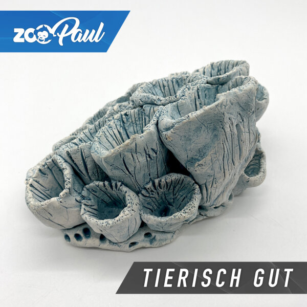 blumenkasten für bambus Blumenkasten aus Bambus und Muscheln, D 14 cm🌿🐚 – MY BLISS HOME main image 0
