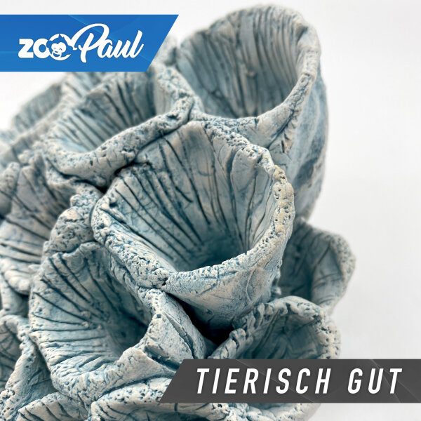Knstliche Korallen Fr Aquarien - Realistische Kleine Meereskorallen  Dekoration Fr Aquarium & Terrarien