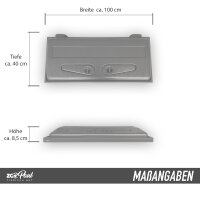 ZooPaul Aquarium Startklar-Set 100x40 cm – Abdeckung mit 2x T8 30W Beleuchtung, Keramik-Holzdeko & Fischkescher